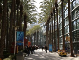 Sun and palm trees - NAMM 2016 - Synthax Audio UK