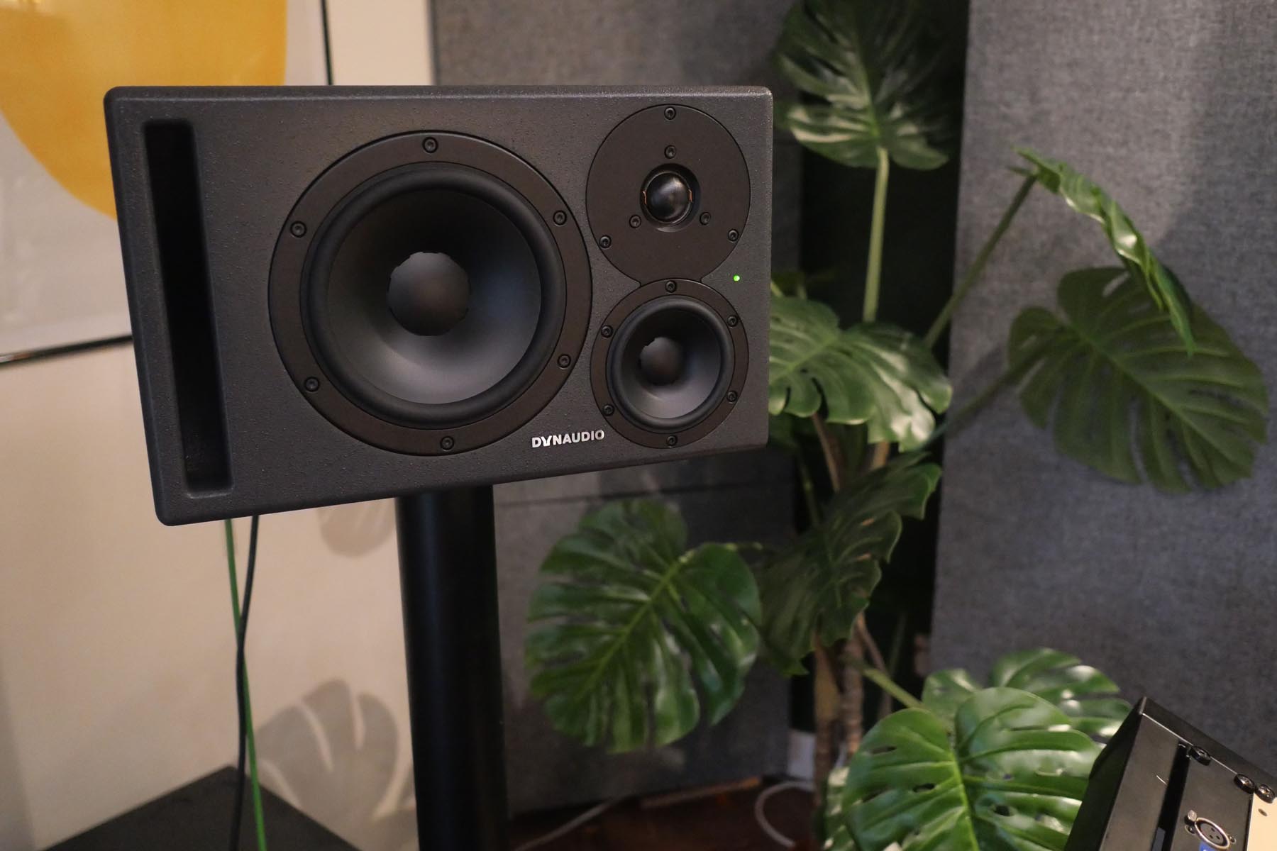 Dynaudio Core 47 monitor in front of houseplant