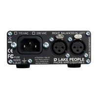 Rear panel of the Lake People G103-P MKII